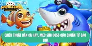 Chiến Thuật Bắn Cá